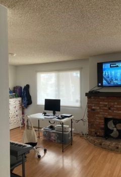 Custom Sheer Roller Shades – La Mesa