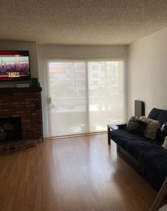 Living room displaying custom sheer roller shades on large windows and sliding glass door, adding style and natural light.